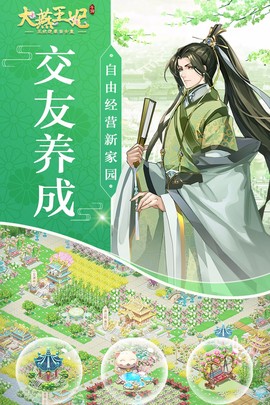 大燕王妃图2