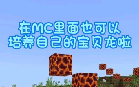 我的世界手机版怎么养龙