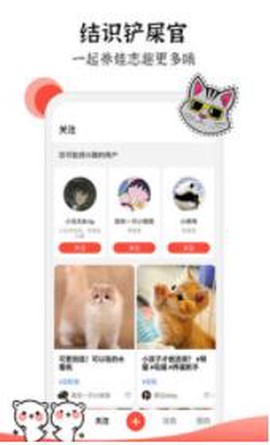 猫猫社图2