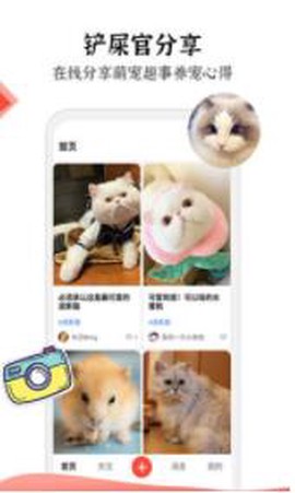 猫猫社图3