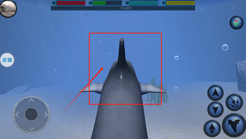 海洋动物模拟器[图2]