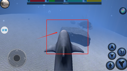 海洋动物模拟器[图4]