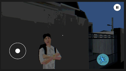 皮卡布宁静的夜晚图3