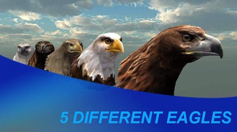 猎鹰之旅模拟器[图1]