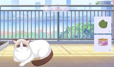 猫之宿约者[图3]