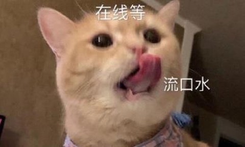 聊天斗图大师[图1]