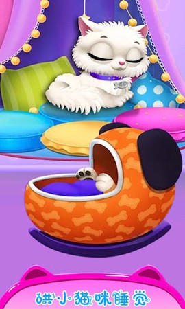 公主宠物小猫咪图3