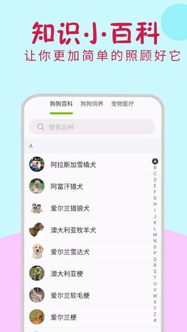 小狗翻译器图3