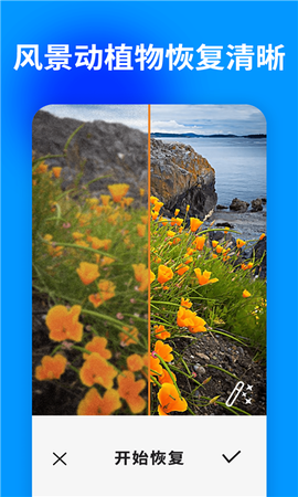 大白照片恢复助手[图1]