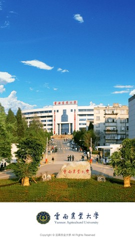 云南农业大学图2