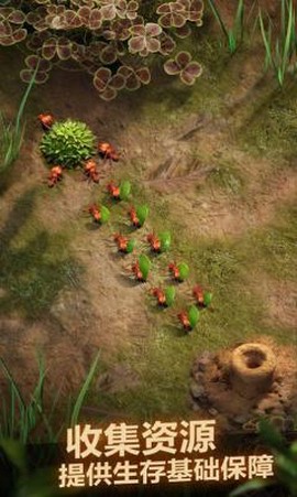 蚂蚁窝模拟器图2