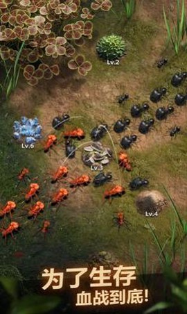 蚂蚁窝模拟器图3