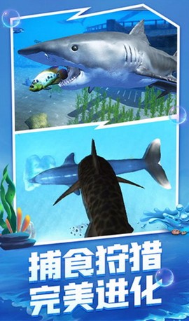 海底大猎杀[图2]