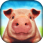 小猪猪模拟器