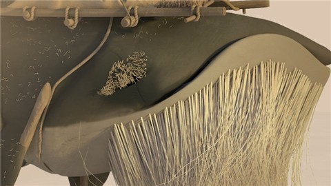 行走的老鲸鱼[图3]