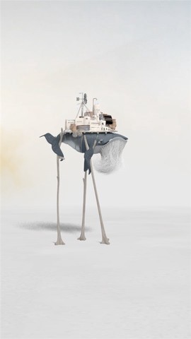 行走的老鲸鱼[图5]