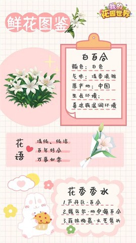 我的花园世界[图1]