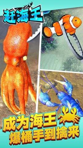 赶海王[图1]