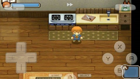 牧场物语双子村图3