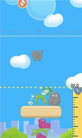猫咪大厦图3