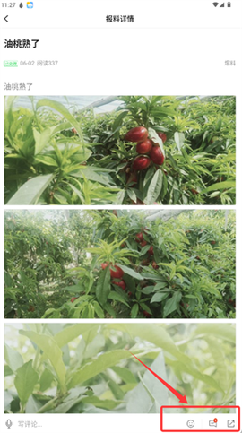 叶城好地方[图4]