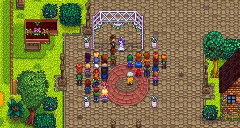 星露谷物语怎么娶2个[图2]