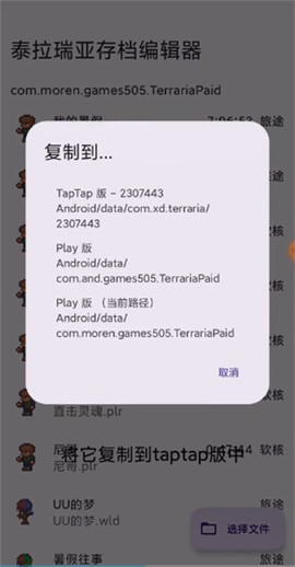 泰拉瑞亚存档管理器[图8]