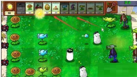 植物大战僵尸随机植物版图2