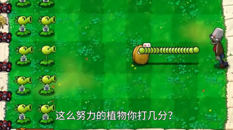 植物大战僵尸资本家版图3