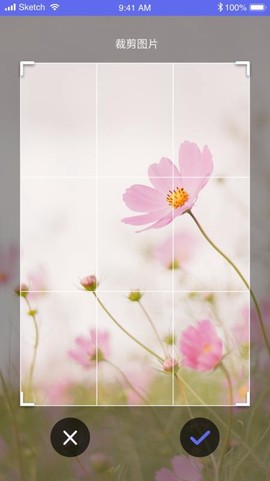 拍拍识图取字图3