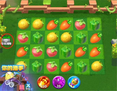 欢乐水果派[图4]