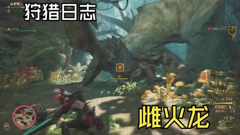 怪物猎人2雌火龙怎么打[图2]