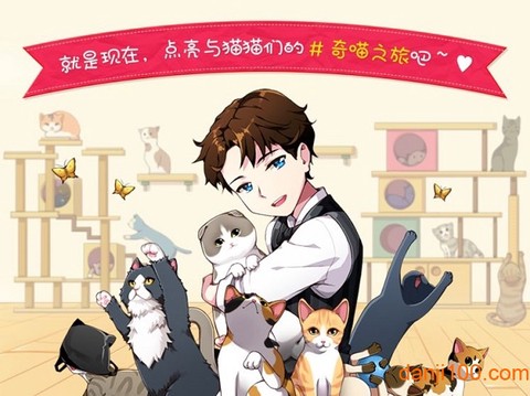 猫猫咖啡屋[图1]