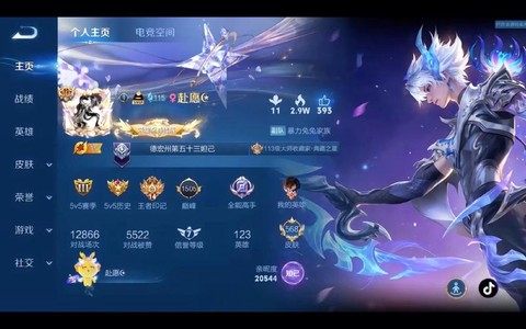 王者荣耀的账号怎么看[图2]