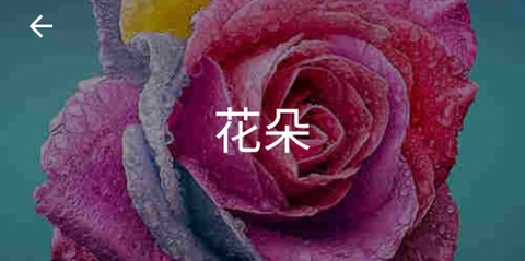 十字绣数字填色[图1]