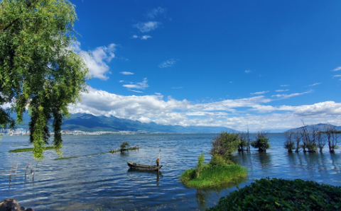 剪视频剪辑制作师图1