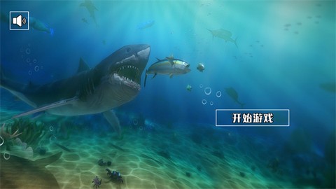 饥饿鲨鱼求生[图1]