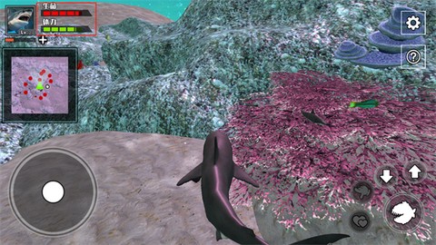 饥饿鲨鱼求生[图6]