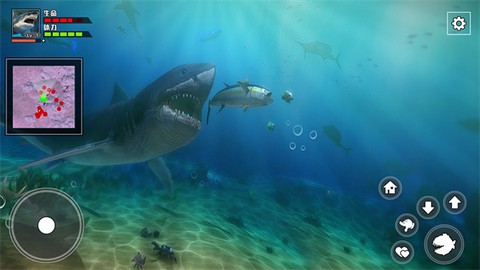 饥饿鲨鱼求生图3