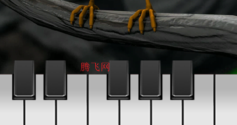 会说话的拉里鸟[图3]