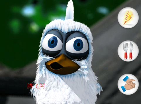 会说话的拉里鸟[图4]