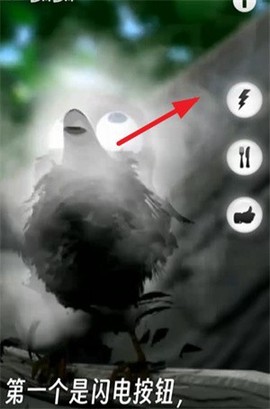 会说话的拉里鸟图2