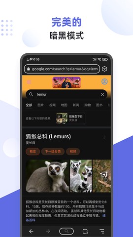 狐猴浏览器图1