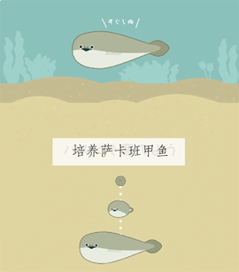 萨卡班甲鱼[图1]