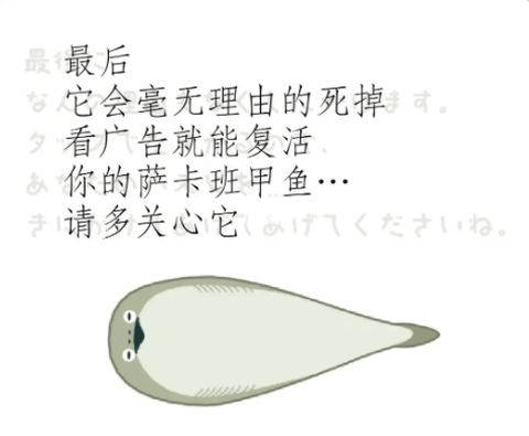 萨卡班甲鱼[图6]