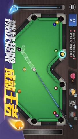 台球精英[图1]