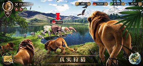 野兽领主新世界国际服图1