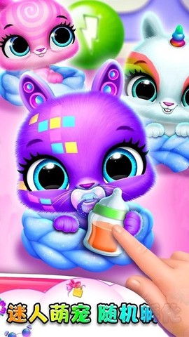 小动物大派对图2