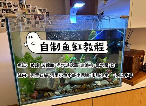 迷你世界怎么制鱼缸[图1]