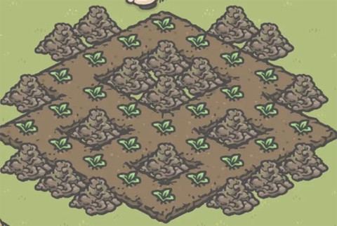 月兔漫游国际服[图3]